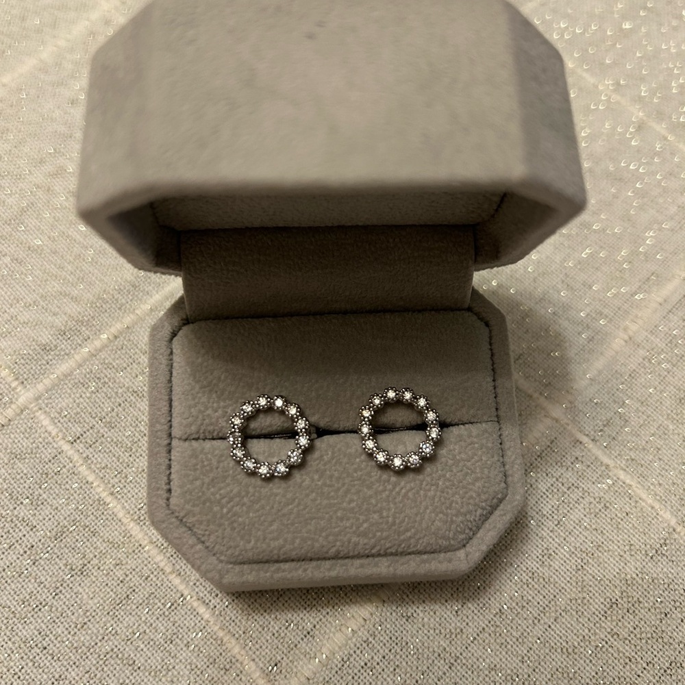 Elegant Circle Earrings